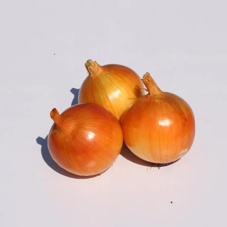 Лук Статус